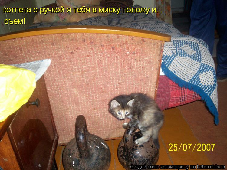 котлета с ручкой я тебя в миску положу и... съем!... Котоматрица: котлета с ручкой я тебя в миску положу и... съем!