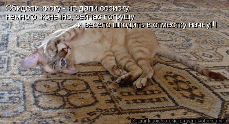 Обидели киску - не дали сосиску, немного, конечно, сейчас погрущу и весело шкодить в отместку начну!!... Котоматрица: Обидели киску - не дали сосиску, немного, конечно, сейчас погрущу и весело шкодить в отместку начну!!!
