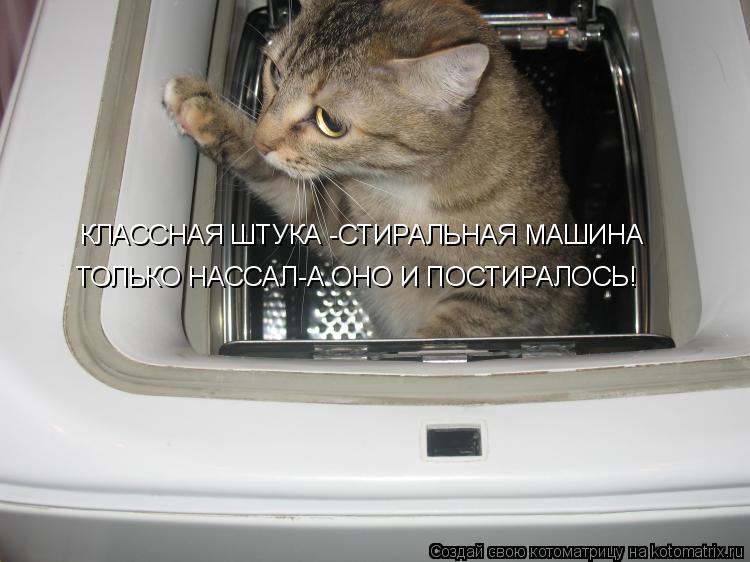КЛАССНАЯ ШТУКА -СТИРАЛЬНАЯ МАШИНА ТОЛЬКО НАССАЛ-А ОНО И ПОСТИРАЛОСЬ!... Котоматрица: КЛАССНАЯ ШТУКА -СТИРАЛЬНАЯ МАШИНА ТОЛЬКО НАССАЛ-А ОНО И ПОСТИРАЛОСЬ!
