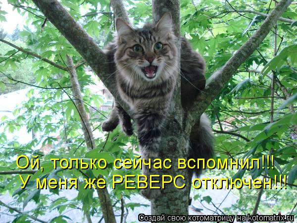 Ой, только сейчас вспомнил!!! У меня же РЕВЕРС отключен!!!... Котоматрица: Ой, только сейчас вспомнил!!! У меня же РЕВЕРС отключен!!!
