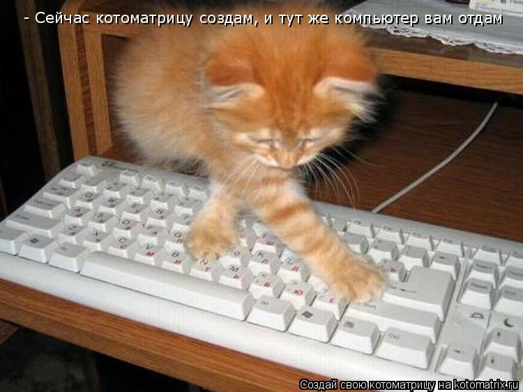 - Сейчас котоматрицу создам, и тут же компьютер вам отдам... Котоматрица: - Сейчас котоматрицу создам, и тут же компьютер вам отдам