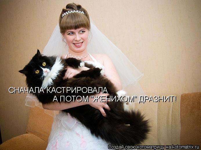 СНАЧАЛА КАСТРИРОВАЛА А ПОТОМ "ЖЕНИХОМ" ДРАЗНИТ!... Котоматрица: СНАЧАЛА КАСТРИРОВАЛА А ПОТОМ "ЖЕНИХОМ" ДРАЗНИТ!