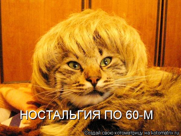 НОСТАЛЬГИЯ ПО 60-М... Котоматрица: НОСТАЛЬГИЯ ПО 60-М