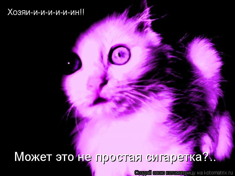 Хозяи-и-и-и-и-и-ин!! Может это не простая сигаретка?..... Котоматрица: Хозяи-и-и-и-и-и-ин!! Может это не простая сигаретка?..
