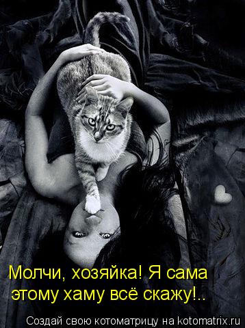 Молчи, хозяйка! Я сама этому хаму всё скажу!..... Котоматрица: Молчи, хозяйка! Я сама этому хаму всё скажу!..