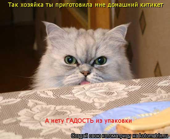 Так хозяйка ты приготовила мне домашний китикет А нету ГАДОСТЬ из упаковки... Котоматрица: Так хозяйка ты приготовила мне домашний китикет А нету ГАДОСТЬ из упаковки