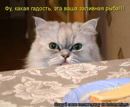 Фу, какая гадость, эта ваша заливная рыба!!!... Котоматрица: Фу, какая гадость, эта ваша заливная рыба!!!