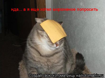 нда... а я еще хотел мороженое попросить... Котоматрица: нда... а я еще хотел мороженое попросить
