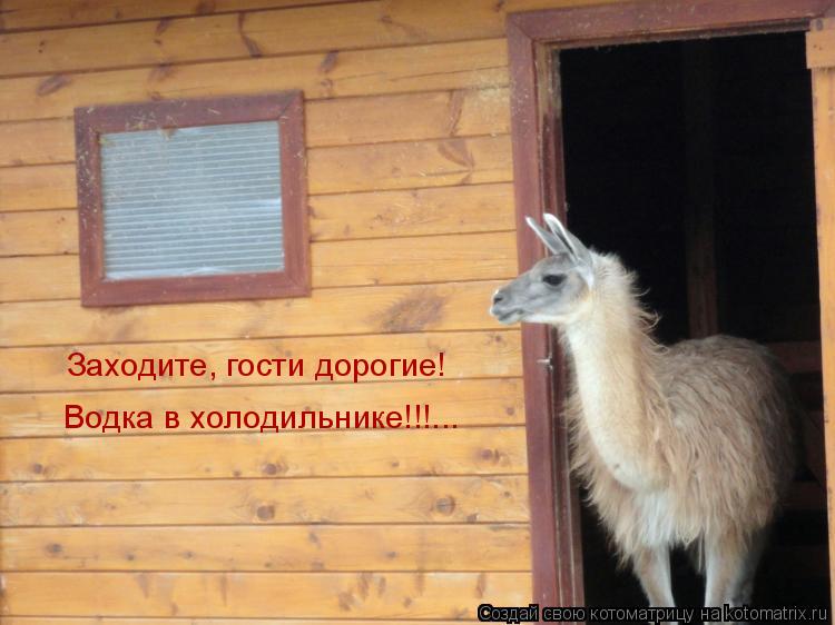 Заходите, гости дорогие! Водка в холодильнике!!!...... Котоматрица: Заходите, гости дорогие! Водка в холодильнике!!!...