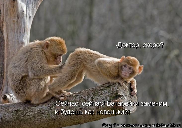 -Доктор, скоро? -Сейчас, сейчас! Батарейки заменим, и будешь как новенький!... Котоматрица: -Доктор, скоро? -Сейчас, сейчас! Батарейки заменим, и будешь как новенький!