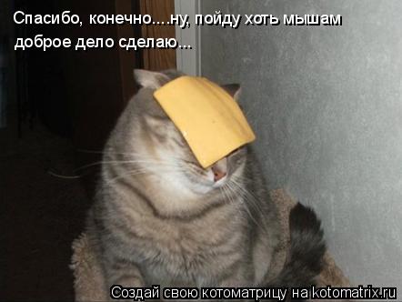 Спасибо, конечно....ну, пойду хоть мышам доброе дело сделаю...... Котоматрица: Спасибо, конечно....ну, пойду хоть мышам доброе дело сделаю...