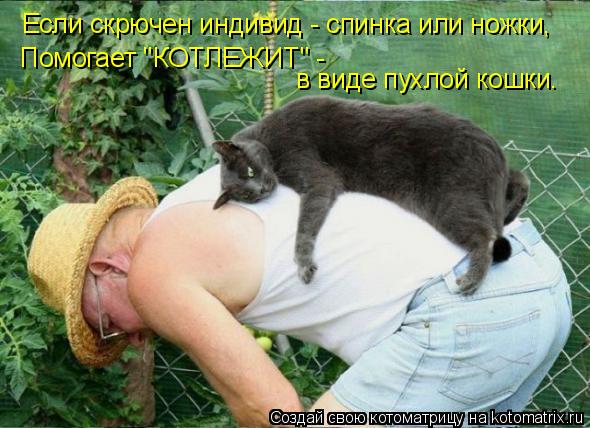 Если скрючен индивид - спинка или ножки, Помогает "КОТЛЕЖИТ" - в виде пухлой кошки.... Котоматрица: Если скрючен индивид - спинка или ножки, Помогает "КОТЛЕЖИТ" - в виде пухлой кошки.