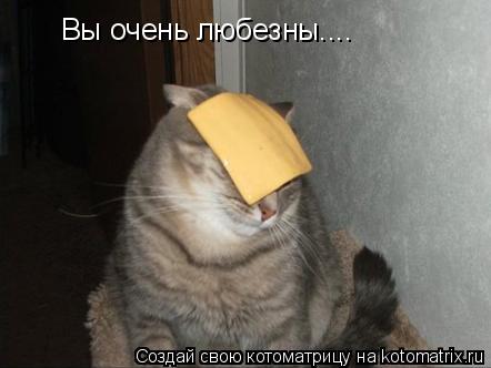 Вы очень любезны....... Котоматрица: Вы очень любезны....