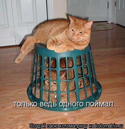 только ведь одного поймал...... Котоматрица: только ведь одного поймал...