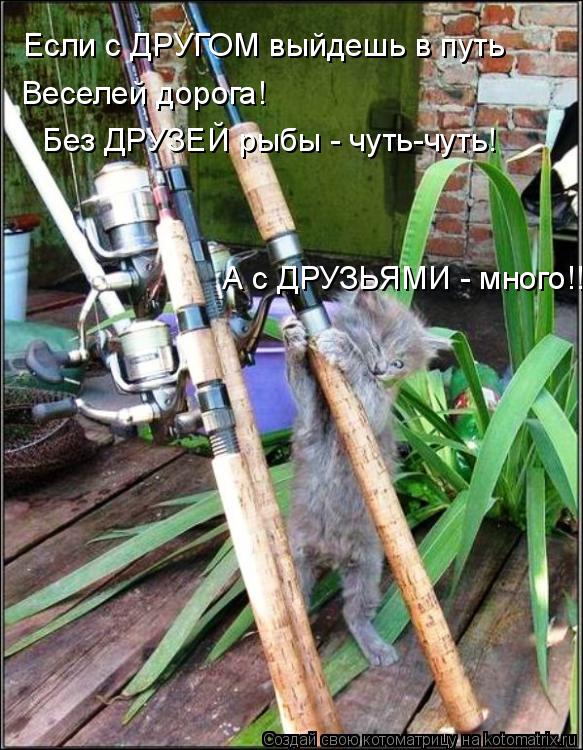 Если с ДРУГОМ выйдешь в путь Веселей дорога! Без ДРУЗЕЙ рыбы - чуть-чуть! А с ДРУЗЬЯМИ - много!!!... Котоматрица: Если с ДРУГОМ выйдешь в путь Веселей дорога! Без ДРУЗЕЙ рыбы - чуть-чуть! А с ДРУЗЬЯМИ - много!!!
