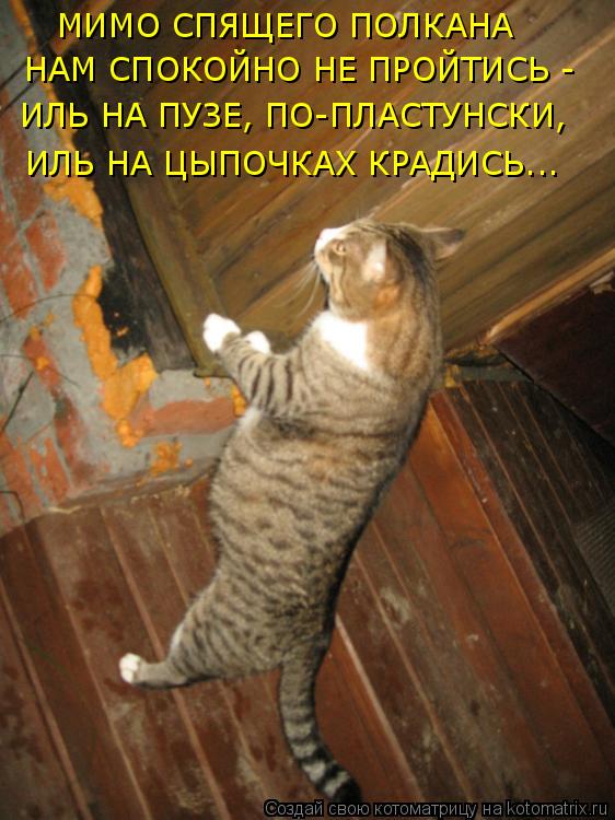 МИМО СПЯЩЕГО ПОЛКАНА НАМ СПОКОЙНО НЕ ПРОЙТИСЬ - ИЛЬ НА ПУЗЕ, ПО-ПЛАСТУНСКИ, ИЛЬ НА ЦЫПОЧКАХ КРАДИСЬ..... Котоматрица: МИМО СПЯЩЕГО ПОЛКАНА НАМ СПОКОЙНО НЕ ПРОЙТИСЬ - ИЛЬ НА ПУЗЕ, ПО-ПЛАСТУНСКИ, ИЛЬ НА ЦЫПОЧКАХ КРАДИСЬ...