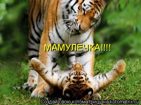 МАМУЛЕЧКА!!!!... Котоматрица: МАМУЛЕЧКА!!!!