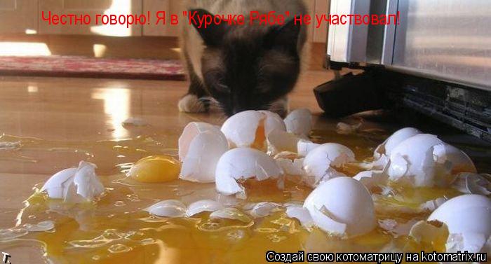 Честно говорю! Я в "Курочке Рябе" не участвовал!... Котоматрица: Честно говорю! Я в "Курочке Рябе" не участвовал!