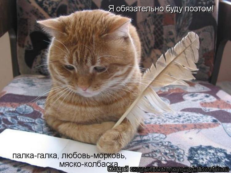 Я обязательно буду поэтом! палка-галка, любовь-морковь, мяско-колбаска.... Котоматрица: Я обязательно буду поэтом! палка-галка, любовь-морковь, мяско-колбаска.