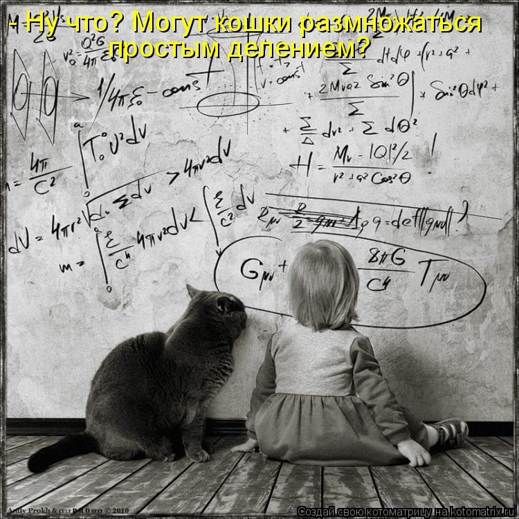 - Ну что? Могут кошки размножаться простым делением?... Котоматрица: - Ну что? Могут кошки размножаться простым делением?