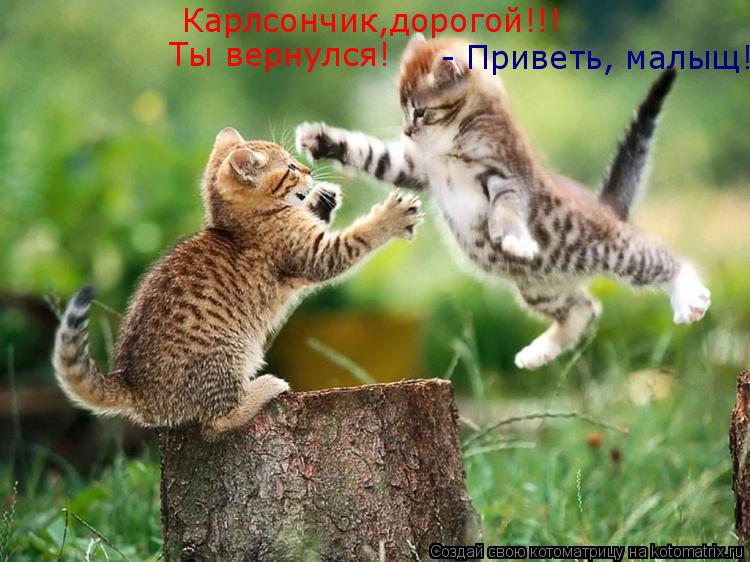 Карлсончик,дорогой!!! Ты вернулся! - Приветь, малыщ!... Котоматрица: Карлсончик,дорогой!!! Ты вернулся! - Приветь, малыщ!