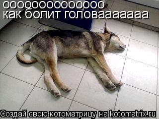 оооооооооооооо как болит головааааааа... Котоматрица: оооооооооооооо как болит головааааааа