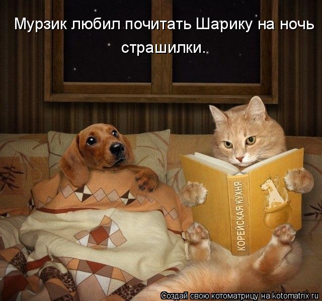 страшилки. Мурзик любил почитать Шарику на ночь... Котоматрица: страшилки. Мурзик любил почитать Шарику на ночь