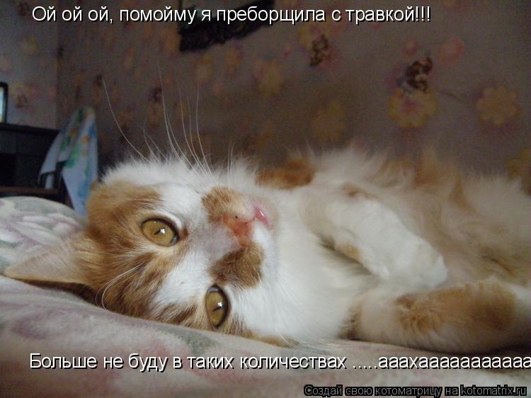 Ой ой ой, помойму я преборщила с травкой!!! Больше не буду в таких количествах .....ааахаааааааааааа... Котоматрица: Ой ой ой, помойму я преборщила с травкой!!! Больше не буду в таких количествах .....ааахаааааааааааааааааа