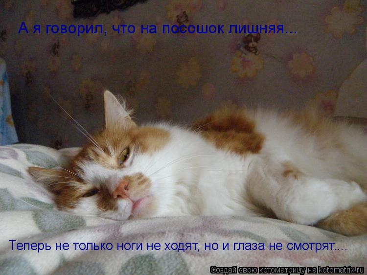 А я говорил, что на посошок лишняя... Теперь не только ноги не ходят, но и глаза не смотрят....... Котоматрица: А я говорил, что на посошок лишняя... Теперь не только ноги не ходят, но и глаза не смотрят....
