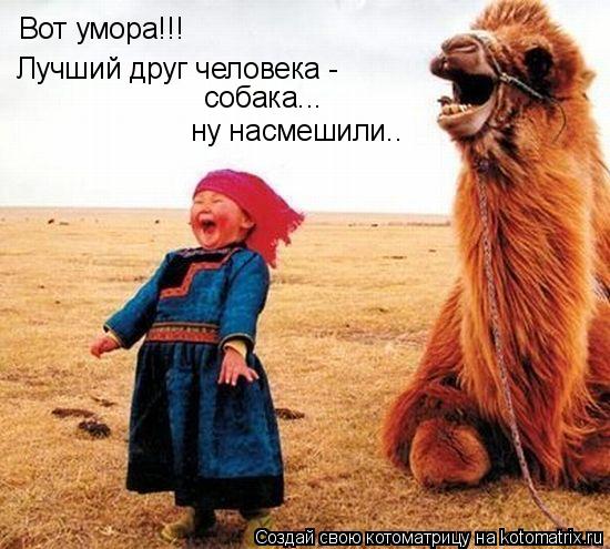 Вот умора!!! Лучший друг человека - собака... ну насмешили..... Котоматрица: Вот умора!!! Лучший друг человека - собака... ну насмешили..