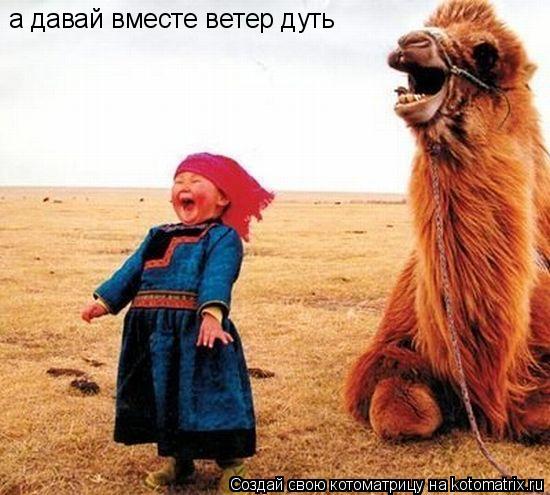 а давай вместе ветер дуть... Котоматрица: а давай вместе ветер дуть