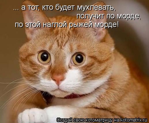 ... а тот, кто будет мухлевать, получит по морде, по этой наглой рыжей морде!... Котоматрица: ... а тот, кто будет мухлевать, получит по морде, по этой наглой рыжей морде!