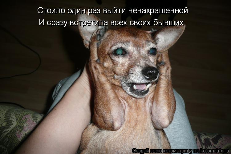 Стоило один раз выйти ненакрашенной И сразу встретила всех своих бывших... Котоматрица: Стоило один раз выйти ненакрашенной И сразу встретила всех своих бывших