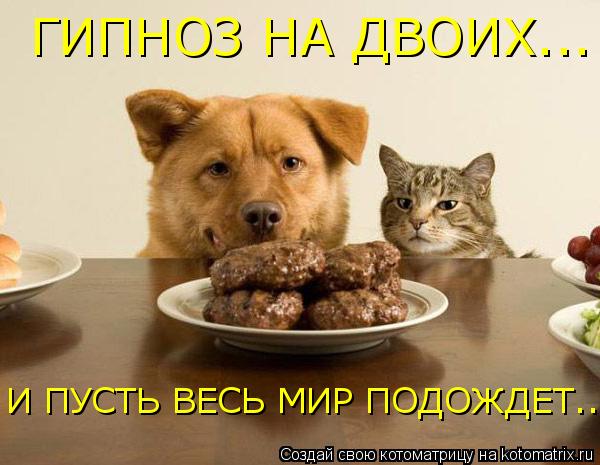 ГИПНОЗ НА ДВОИХ... И ПУСТЬ ВЕСЬ МИР ПОДОЖДЕТ...... Котоматрица: ГИПНОЗ НА ДВОИХ... И ПУСТЬ ВЕСЬ МИР ПОДОЖДЕТ...