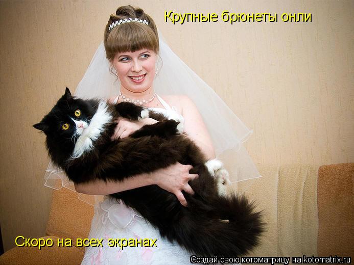 Крупные брюнеты онли Скоро на всех экранах... Котоматрица: Крупные брюнеты онли Скоро на всех экранах