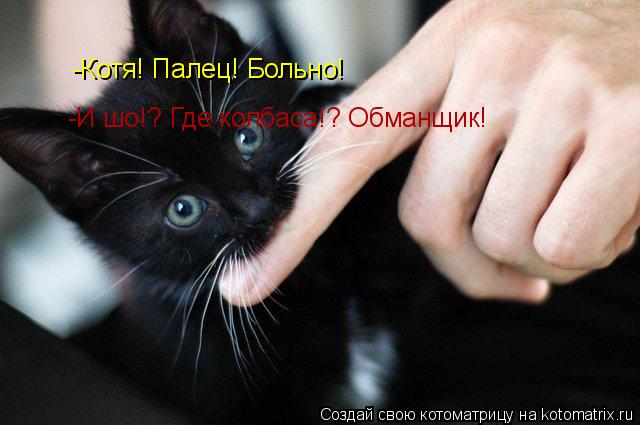 -Котя! Палец! Больно! -И шо!? Где колбаса!? Обманщик!... Котоматрица: -Котя! Палец! Больно! -И шо!? Где колбаса!? Обманщик!