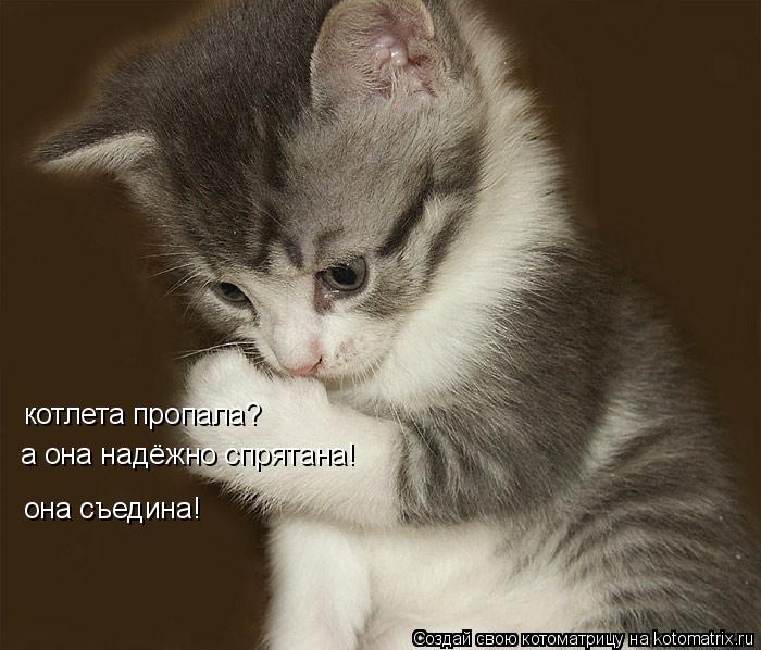 котлета пропала? а она надёжно спрятана! она съедина!... Котоматрица: котлета пропала? а она надёжно спрятана! она съедина!
