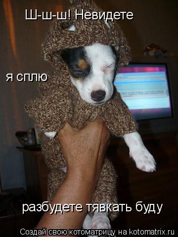 Ш-ш-ш! Невидете я сплю разбудете тявкать буду... Котоматрица: Ш-ш-ш! Невидете я сплю разбудете тявкать буду
