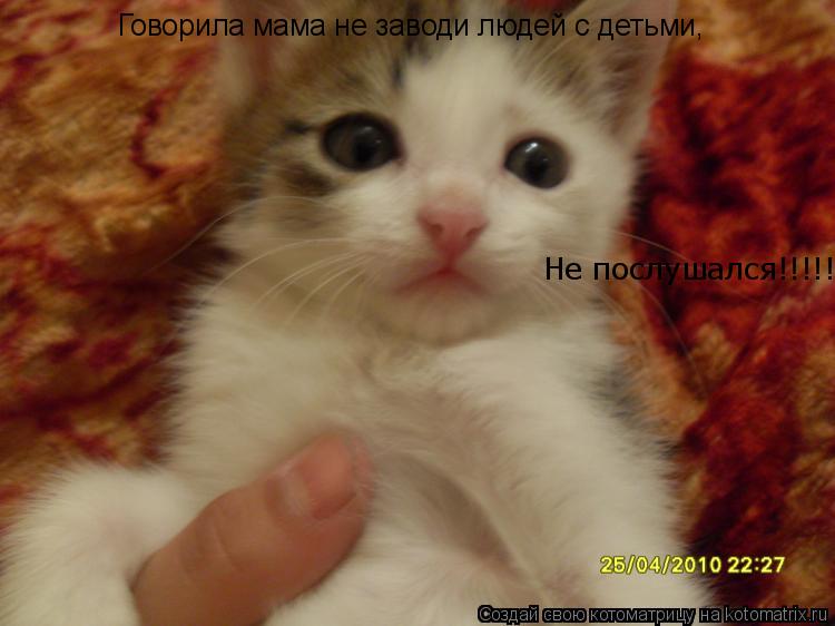 Не послушался!!!!!! Говорила мама не заводи людей с детьми,... Котоматрица: Не послушался!!!!!! Говорила мама не заводи людей с детьми,