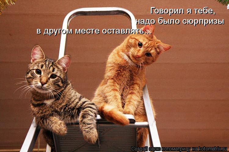 Говорил я тебе, надо было сюрпризы в другом месте оставлять...... Котоматрица: Говорил я тебе, надо было сюрпризы в другом месте оставлять...