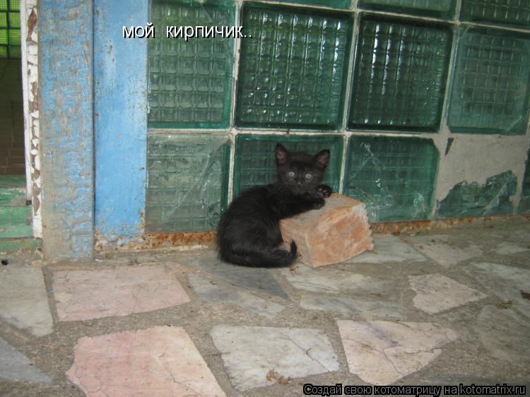 мой кирпичик..... Котоматрица: мой кирпичик..