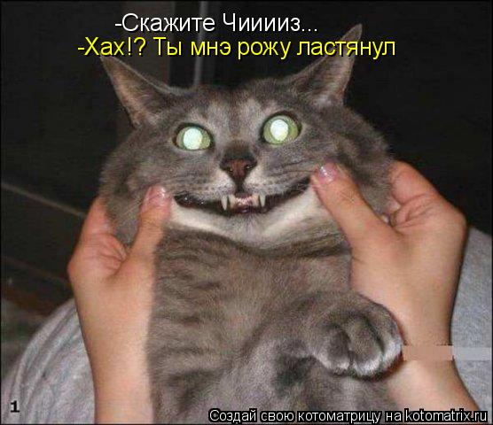 -Скажите Чииииз... -Хах!? Ты мнэ рожу ластянул... Котоматрица: -Скажите Чииииз... -Хах!? Ты мнэ рожу ластянул
