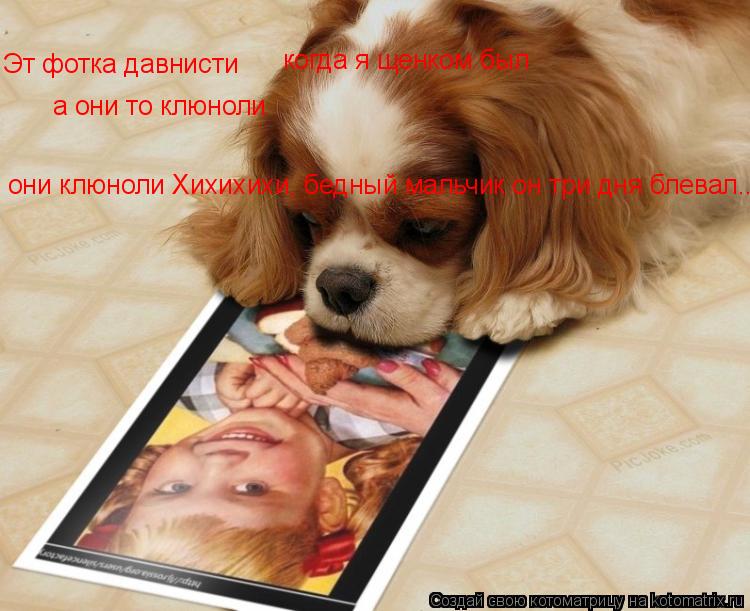 Эт фотка давнисти а они то клюноли когда я щенком был когда я щенком был они клюноли Хихихихи, бед... Котоматрица: Эт фотка давнисти а они то клюноли когда я щенком был когда я щенком был они клюноли Хихихихи, бедный мальчик он три дня блевал........