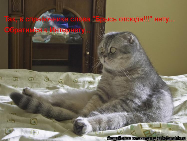 Так, в справочнике слова "Брысь отсюда!!!" нету... Обратимся к Интернету... Обратимся к Интернету...... Котоматрица: Так, в справочнике слова "Брысь отсюда!!!" нету... Обратимся к Интернету... Обратимся к Интернету...