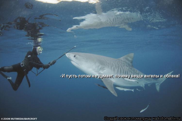 -И пусть потом не думает, почему везде ангелы и облака!... Котоматрица: -И пусть потом не думает, почему везде ангелы и облака!