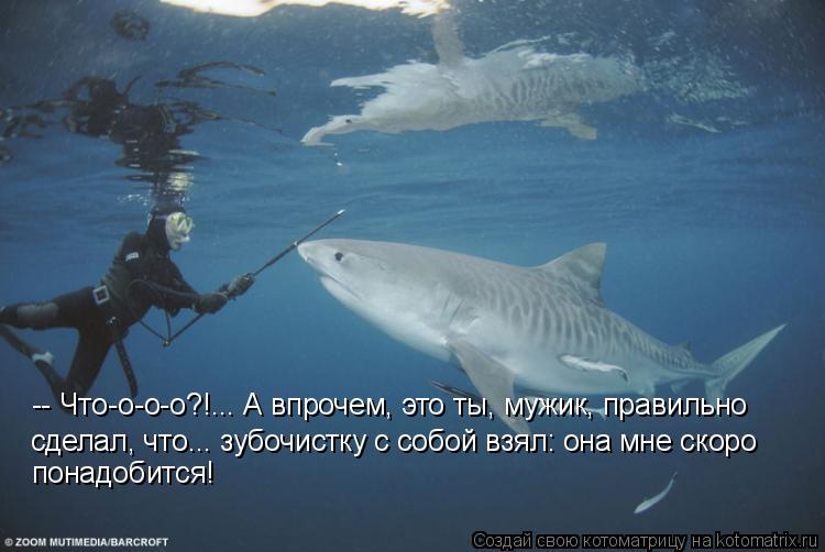 сделал, что... зубочистку с собой взял: она мне скоро понадобится! -- Что-о-о-о?!... А впрочем, это т... Котоматрица: сделал, что... зубочистку с собой взял: она мне скоро понадобится! -- Что-о-о-о?!... А впрочем, это ты, мужик, правильно