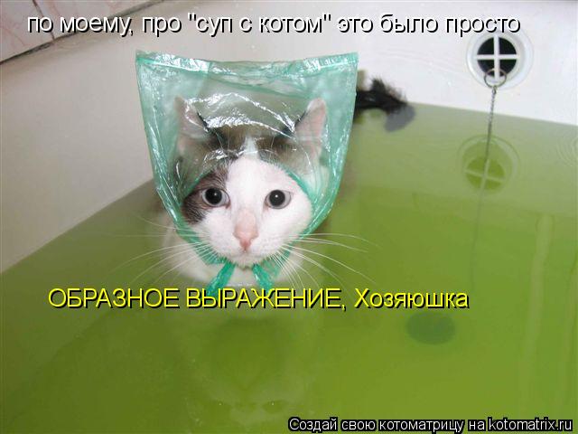 по моему, про "суп с котом" это было просто ОБРАЗНОЕ ВЫРАЖЕНИЕ, Хозяюшка... Котоматрица: по моему, про "суп с котом" это было просто ОБРАЗНОЕ ВЫРАЖЕНИЕ, Хозяюшка