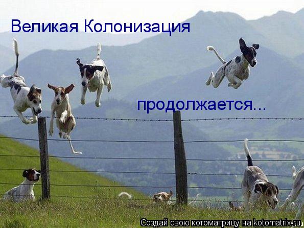 Великая Колонизация продолжается...... Котоматрица: Великая Колонизация продолжается...