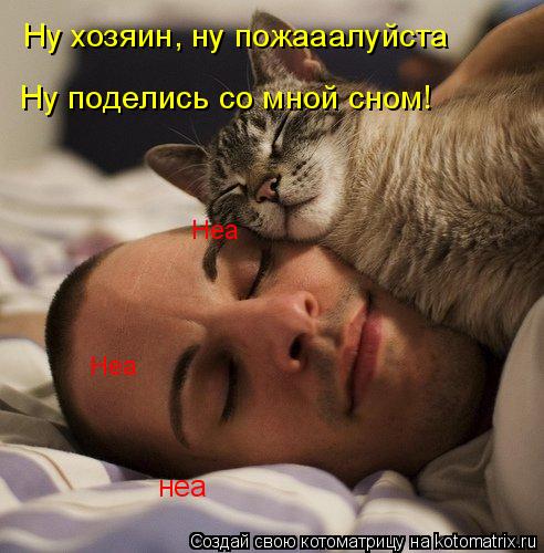 Ну хозяин, ну пожааалуйста неа Ну поделись со мной сном! Неа Неа... Котоматрица: Ну хозяин, ну пожааалуйста неа Ну поделись со мной сном! Неа Неа