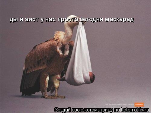 ды я аист у нас просто сегодня маскарад... Котоматрица: ды я аист у нас просто сегодня маскарад